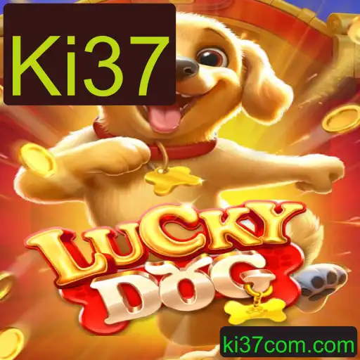 Explorando LuckyDog: O Jogo Envolvente e Suas Regras